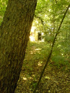 DSC00965