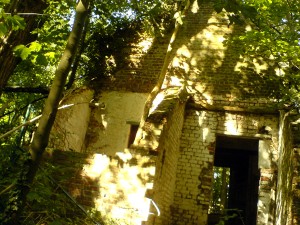 DSC00966