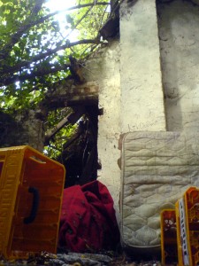 DSC00974
