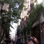 overgrown