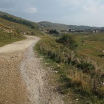 fields